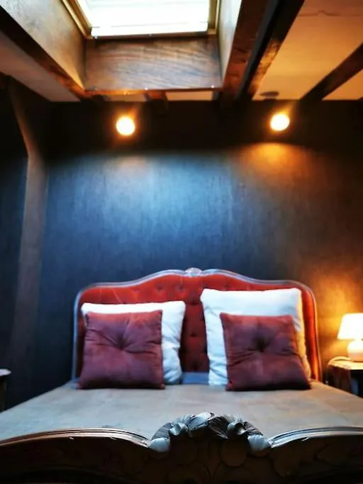 Vakantiehuis Vieux Gaillac, Charmante Maison De Ville Au Calme Frankrijk